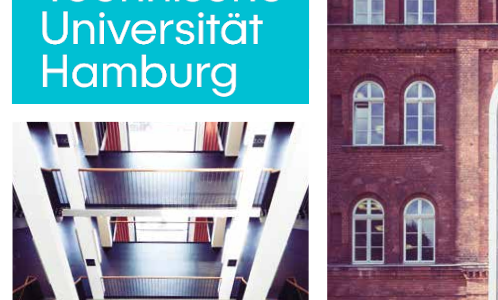 Junior Professorship (W1) with Tenure Track (W3)